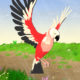 Parrot Simulator Game